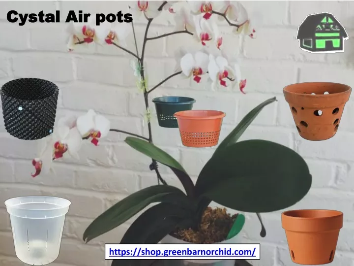 cystal air pots