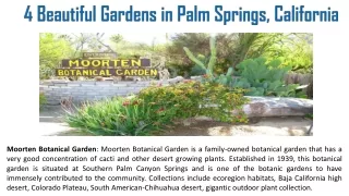 4 Beautiful Gardens in Palm Springs, California