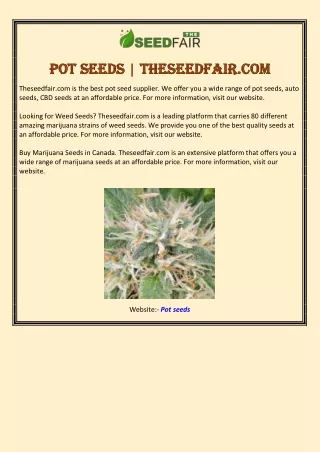 Pot Seeds | Theseedfair.com