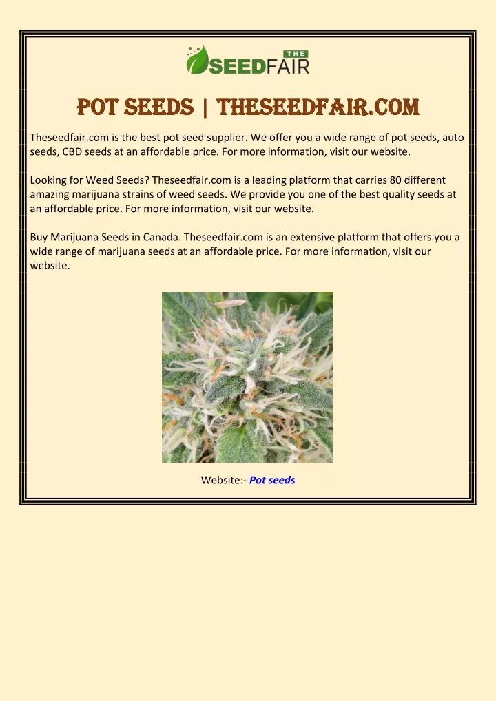 pot pot seeds seeds theseedfair com theseedfair