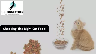Choosing The Right Cat Food