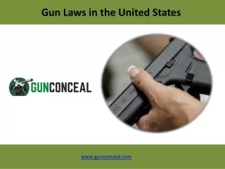 Gun Laws in the USA - The Complete Guide