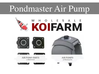 pondmaster air pump