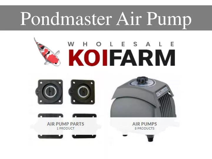 pondmaster air pump