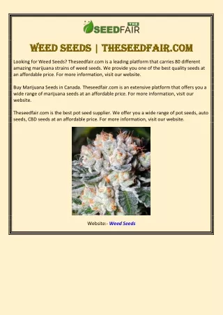 Weed Seeds | Theseedfair.com