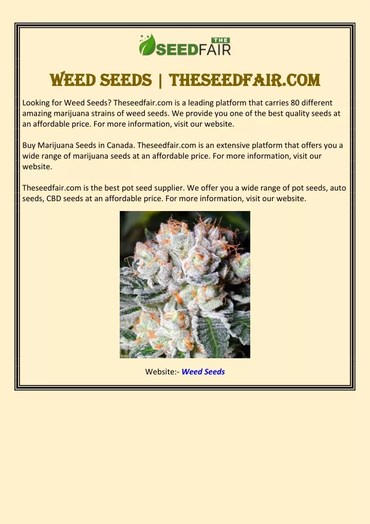 weed weed seeds seeds theseedfair com theseedfair
