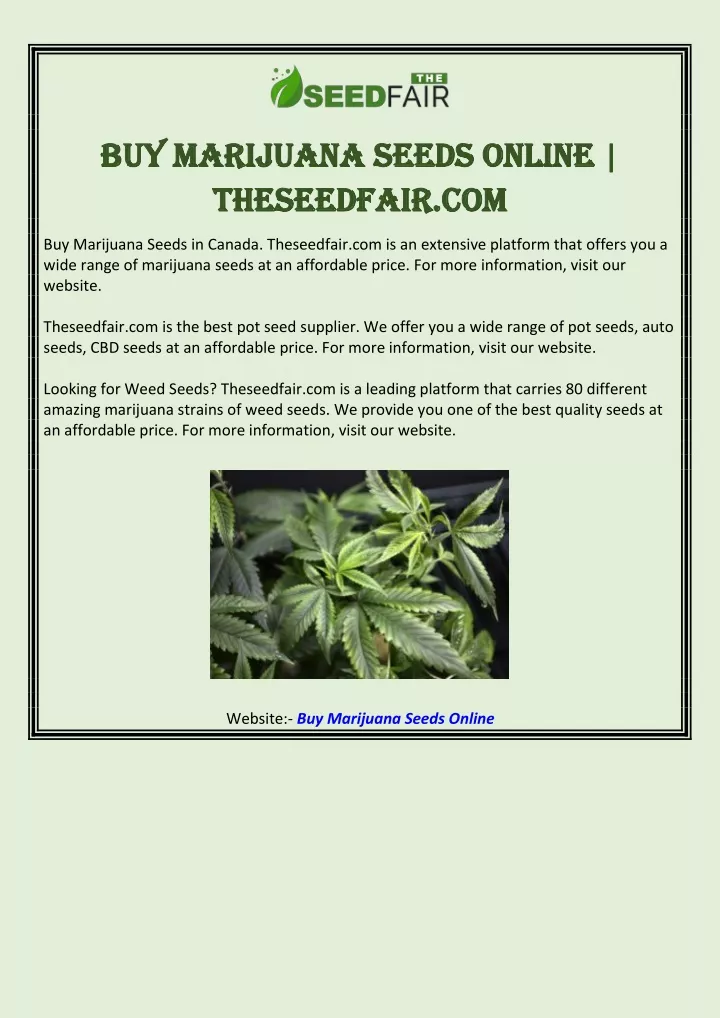 buy buy marijuana marijuana seeds theseedfair