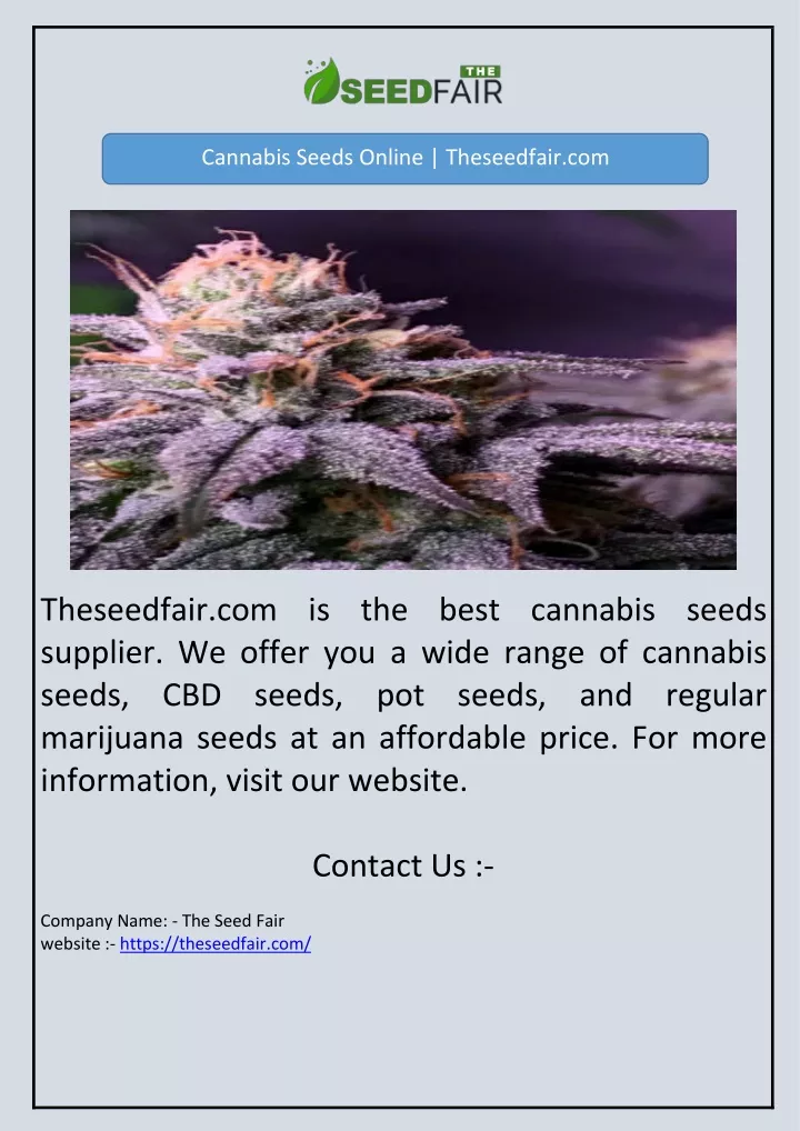 cannabis seeds online theseedfair com