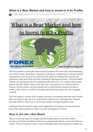 What is a Bear Market and how to Invest in it for Profits