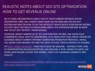 realistic notes about seo site optimization how to get revenue online