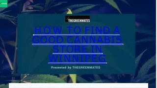 How to find a good Cannabis store in Winnipeg