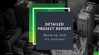 Detailed Project Report - Meaning And Its Contents