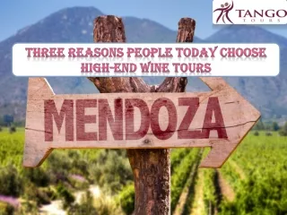 Three Reasons People Today Choose High-end Wine Tours