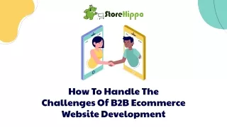 how to handle the challenges of b2b ecommerce