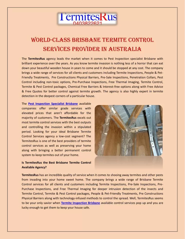 world class brisbane termite control services