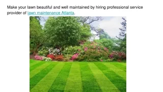 Keep your lawn well maintained