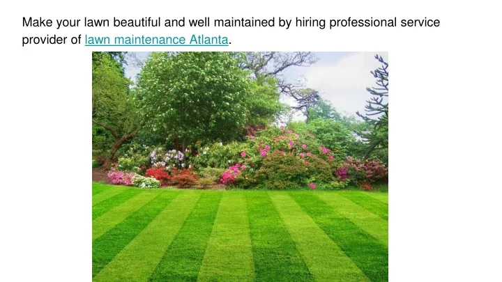 make your lawn beautiful and well maintained