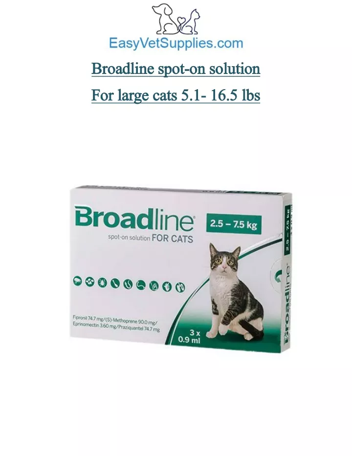 broadline broadline spot