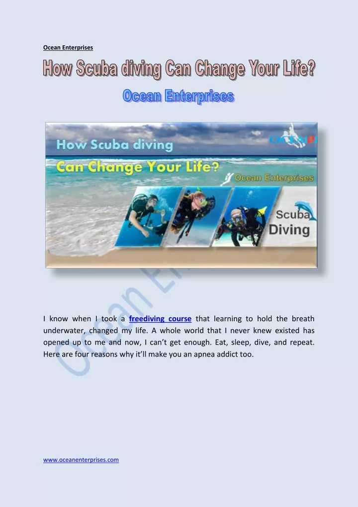 ocean enterprises