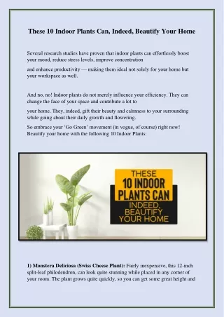Ten Indoor Plants Can, Indeed, Beautify Your Home