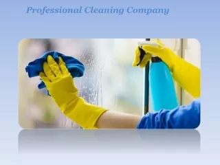 Professional Cleaning Company