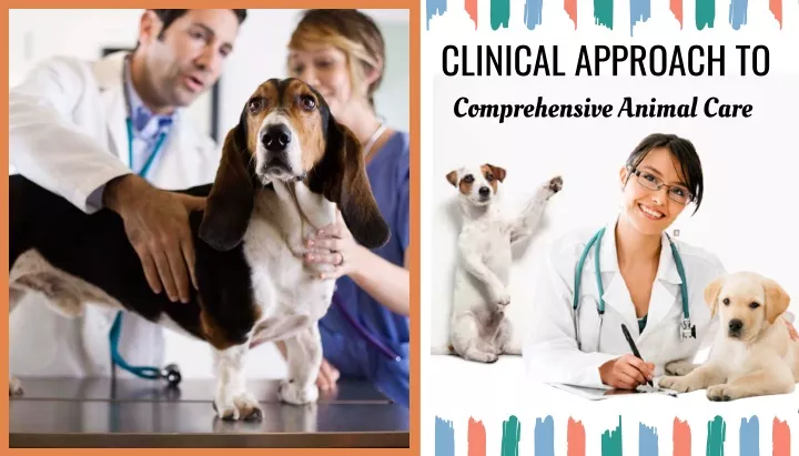 clinical approach to comprehensive animal care