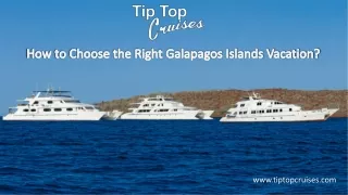 An excursion to the Galapagos Islands is not at all a regular holiday; that is a reason why planning that journey is not