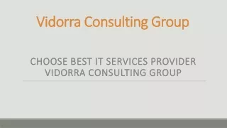 vidorra consulting group