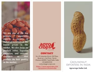 we are one of the top peanuts exports a indian