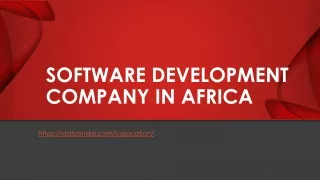 software development company in africa