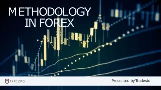Is Your Methodology in Forex Not Working for You? | Tradesto