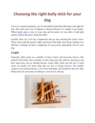 Choosing the right bully stick for your dog