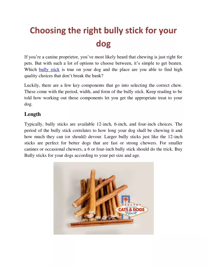 choosing the right bully stick for your dog