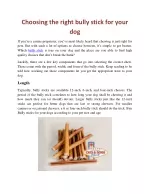 Choosing the right bully stick for your dog