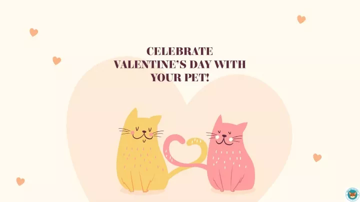 celebrate valentine s day with your pet