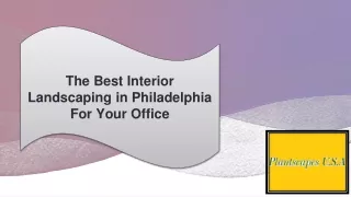 The Best Interior Landscaping in Philadelphia For Your Office