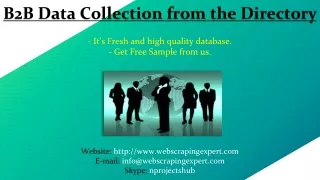 b2b data collection from the directory