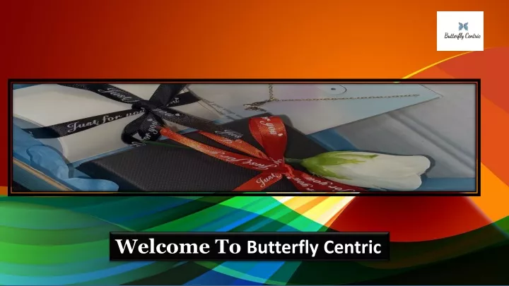 welcome to butterfly centric
