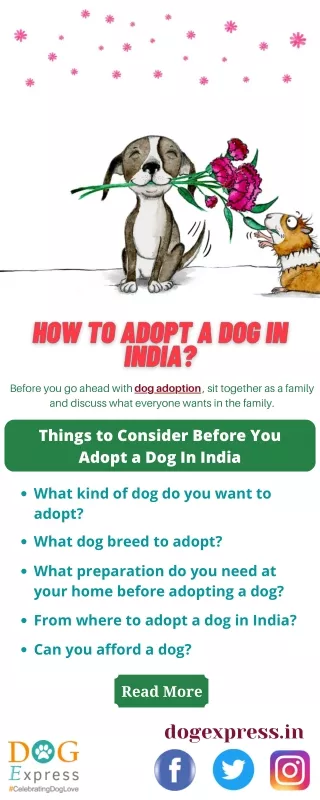 dog adoption dog adoption