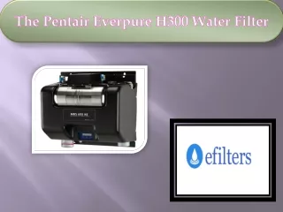 The Pentair Everpure H300 Water Filter
