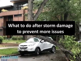 What to Do After Storm Damage to Prevent More Issues