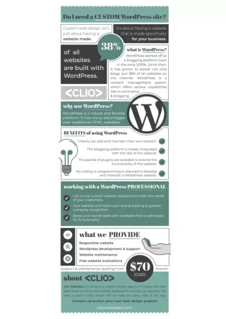 WordPress Developer Calgary - Clio Websites