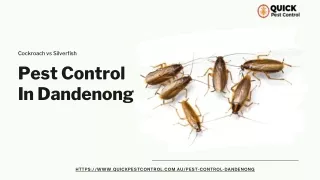 Pest Control In Dandenong | Cockroach & Silverfish Bite