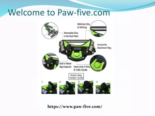 No Pull Dog Harness - Paw-five