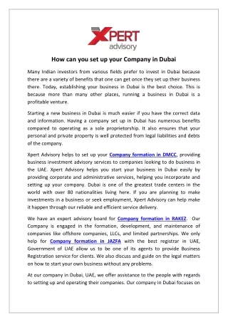 How can you set up your Company in Dubai