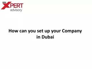 How can you set up your Company in Dubai