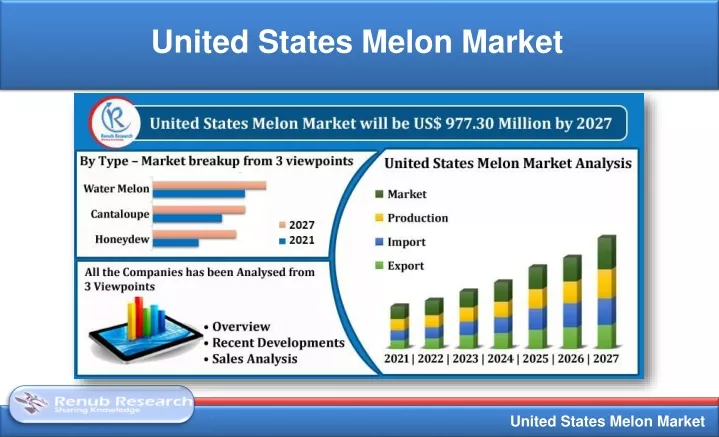 united states melon market