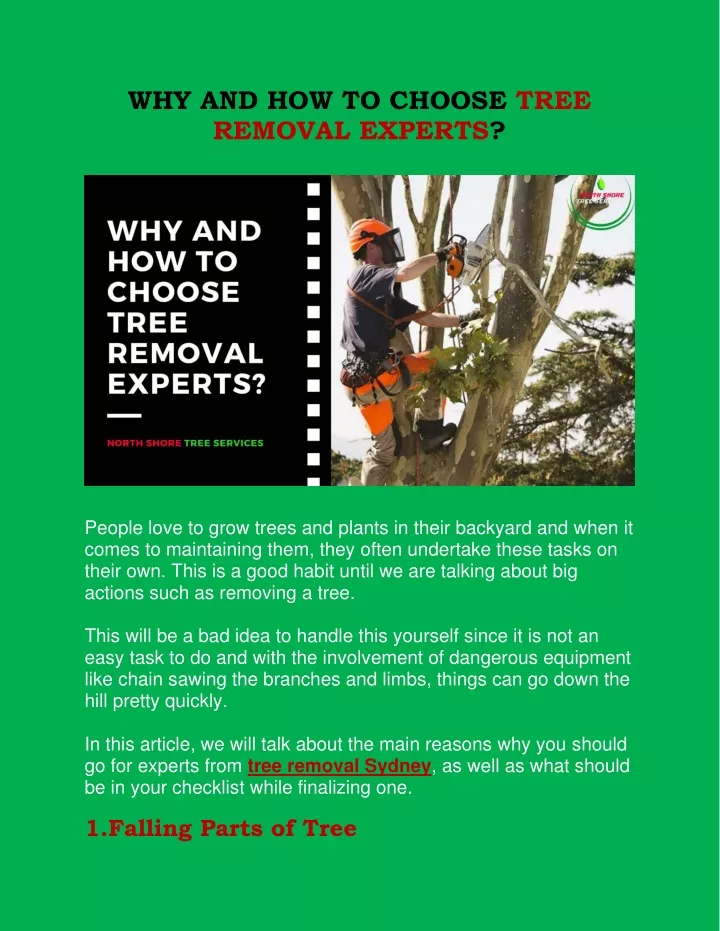 why and how to choose tree removal experts