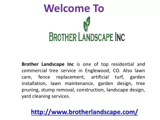 Landscape Construction in Englewood
