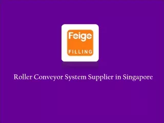 Roller Conveyor System Supplier